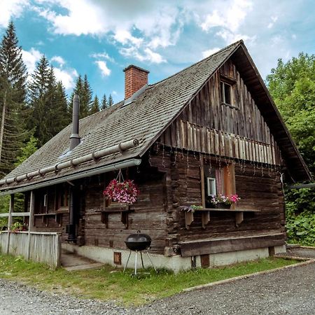 Вилла Almhuette Hebalm Pack Экстерьер фото